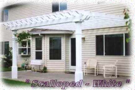  Scalloped - White 